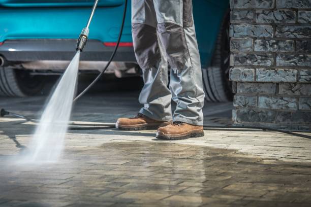 Best Driveway Pressure Washing  in Coldspring, TX