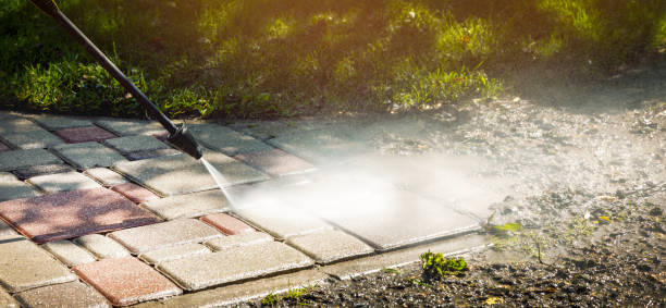 Best Sidewalk and Walkway Cleaning  in Coldspring, TX